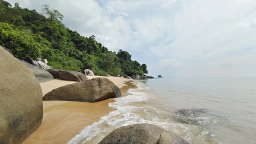 Seni bina dalaman di Kampung Tekek